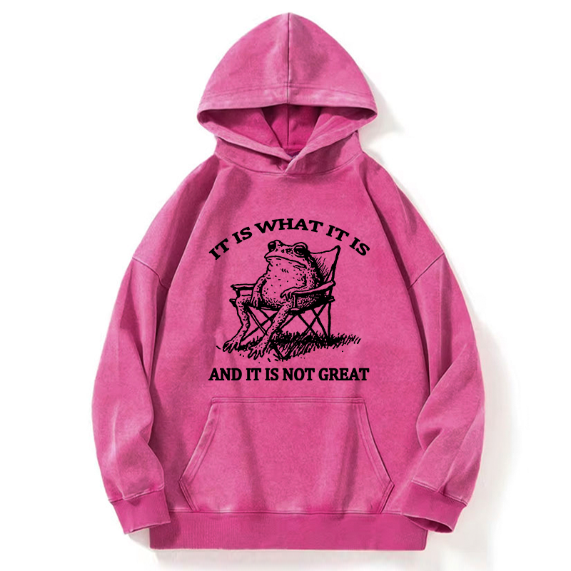 Tokyo-Tiger Resting Frog Funny Washed Hoodie
