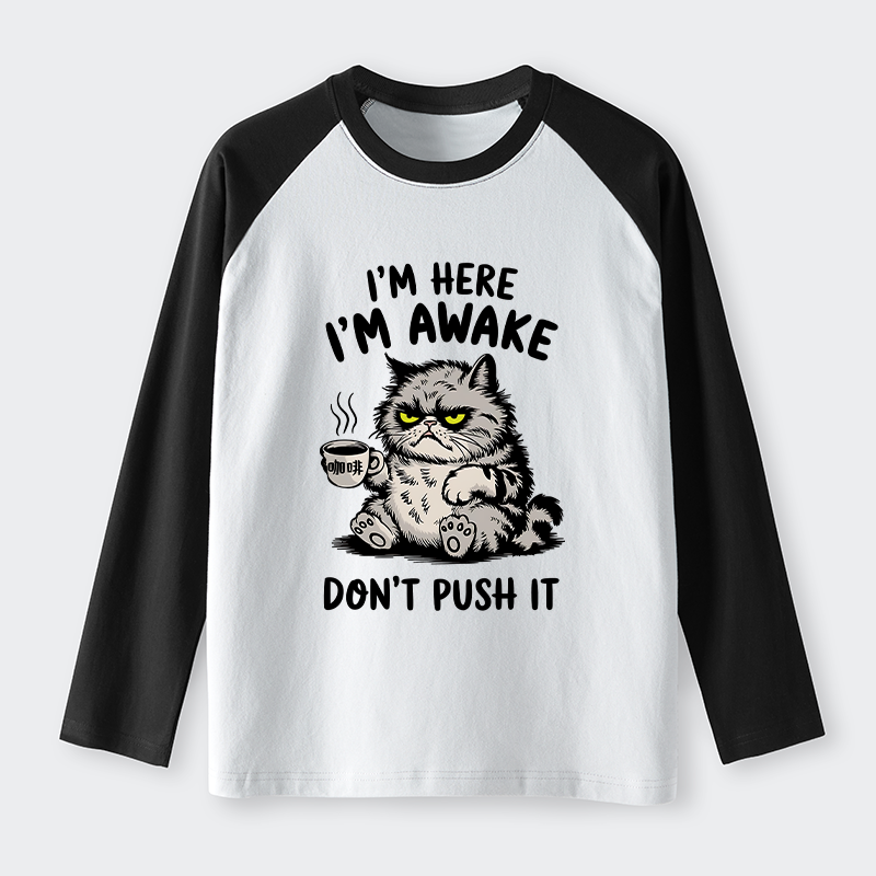 Tokyo-Tiger Tired Cat Raglan Long Sleeve T-shirt