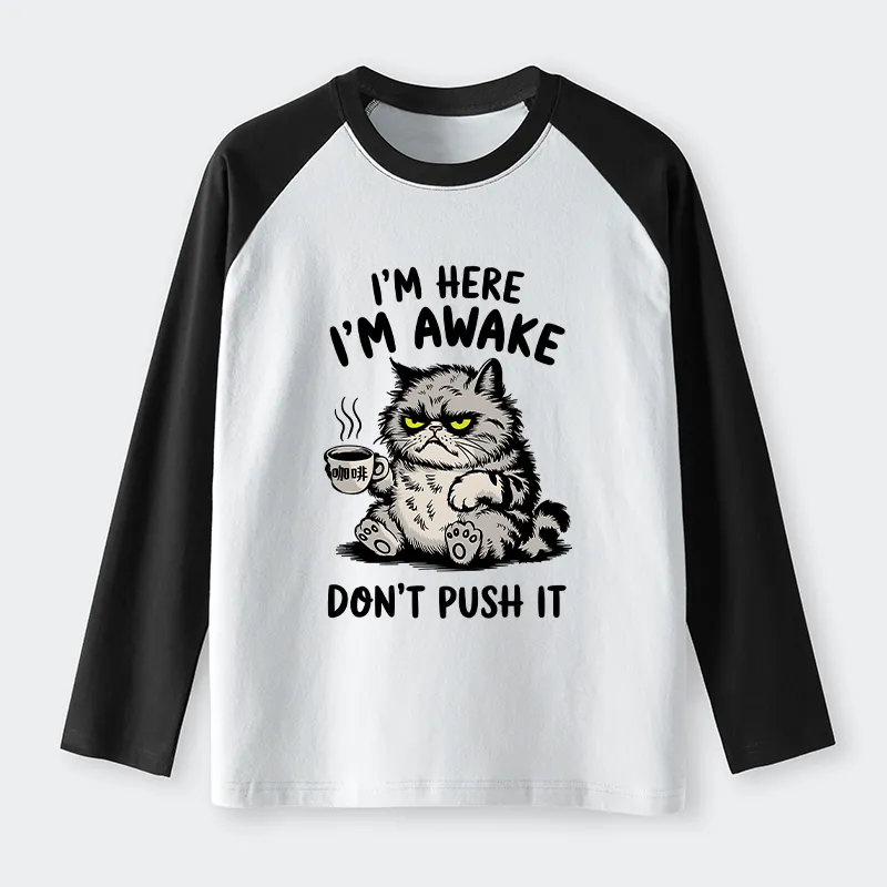 Tokyo-Tiger Tired Cat Raglan Long Sleeve T-shirt