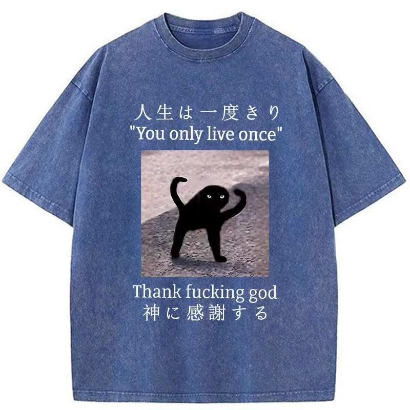 Tokyo-Tiger Funny Mysterious Cat Washed T-Shirt