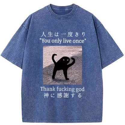 Tokyo-Tiger Funny Mysterious Cat Washed T-Shirt