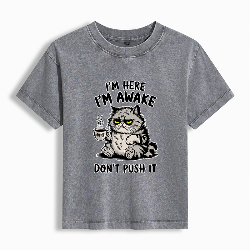 Tokyo-Tiger Tired Cat Washed T-shirt