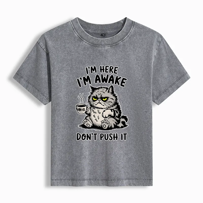 Tokyo-Tiger Tired Cat Washed T-shirt