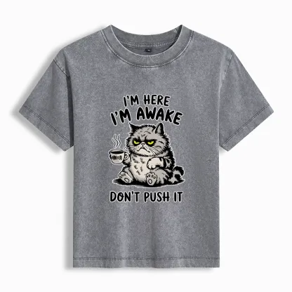 Tokyo-Tiger Tired Cat Washed T-shirt
