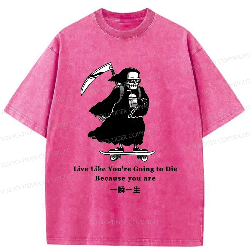 Tokyo-Tiger Death Skateboard Washed T-Shirt