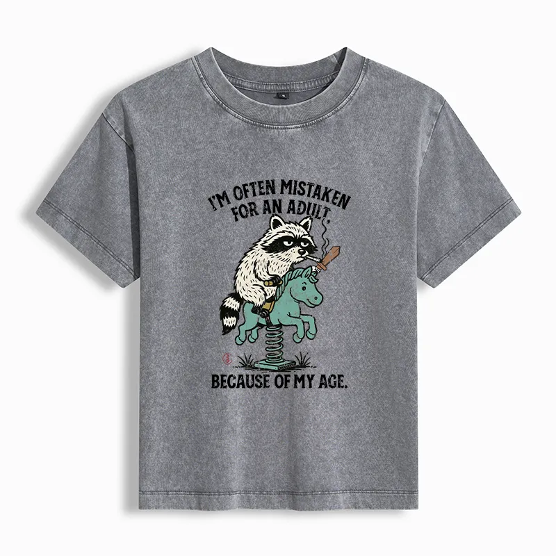 Tokyo-Tiger funny Raccoon and Horse meme Women's Washed T-shirt