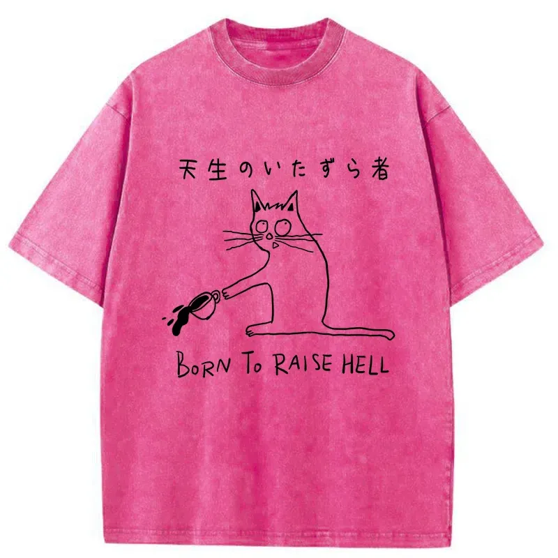 Tokyo-Tiger Trouble Maker Washed T-Shirt