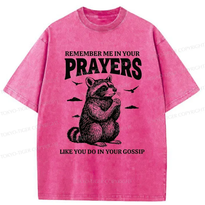 Tokyo-Tiger Raccoon Prayer Washed T-Shirt