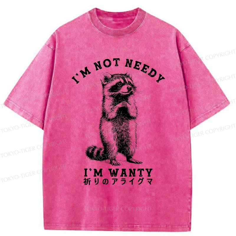 Tokyo-Tiger Praying Raccoon Washed T-Shirt