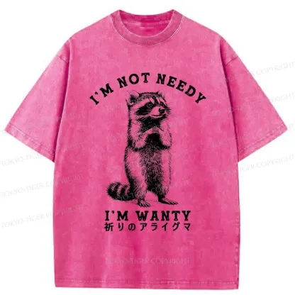 Tokyo-Tiger Praying Raccoon Washed T-Shirt