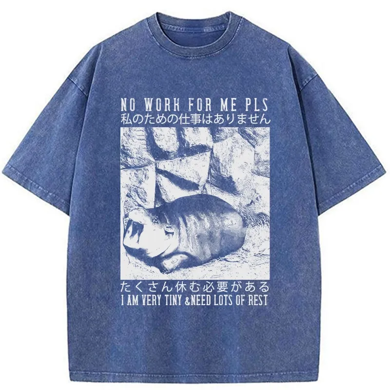 Tokyo-Tiger Funny Moo Deng Needs Lots Of Rest Washed T-Shirt