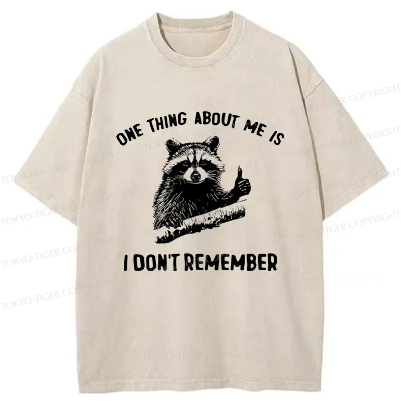 Tokyo-Tiger Amnesiac Raccoon Washed T-Shirt