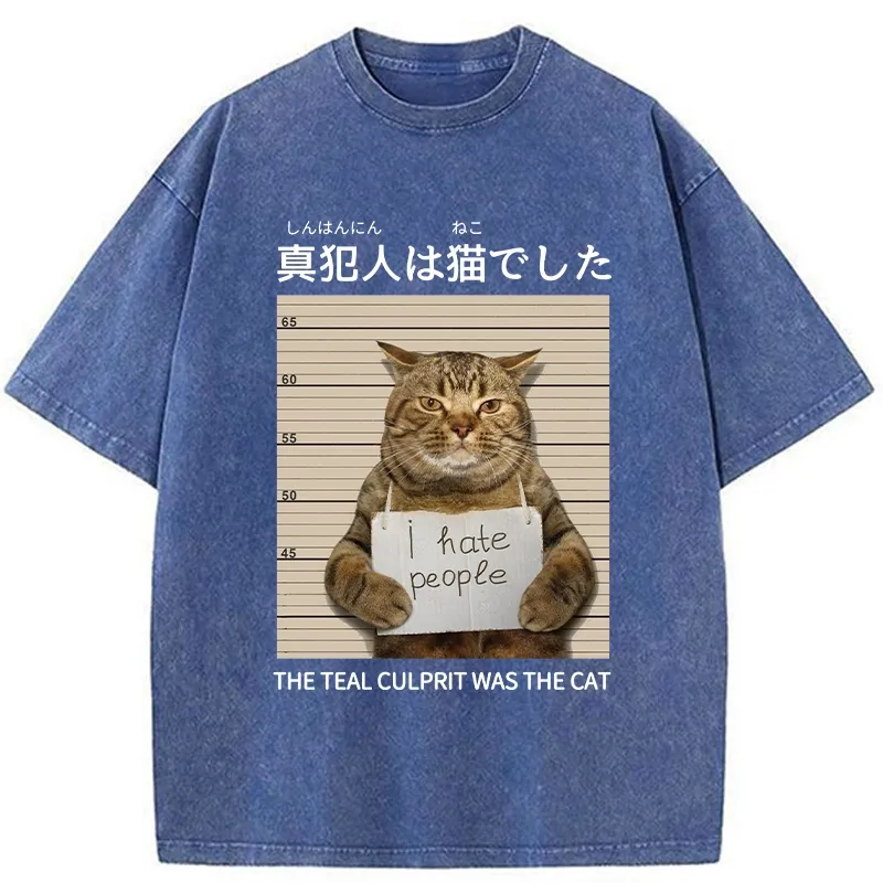 Tokyo-Tiger The Culprit Is The Cat Washed T-Shirt