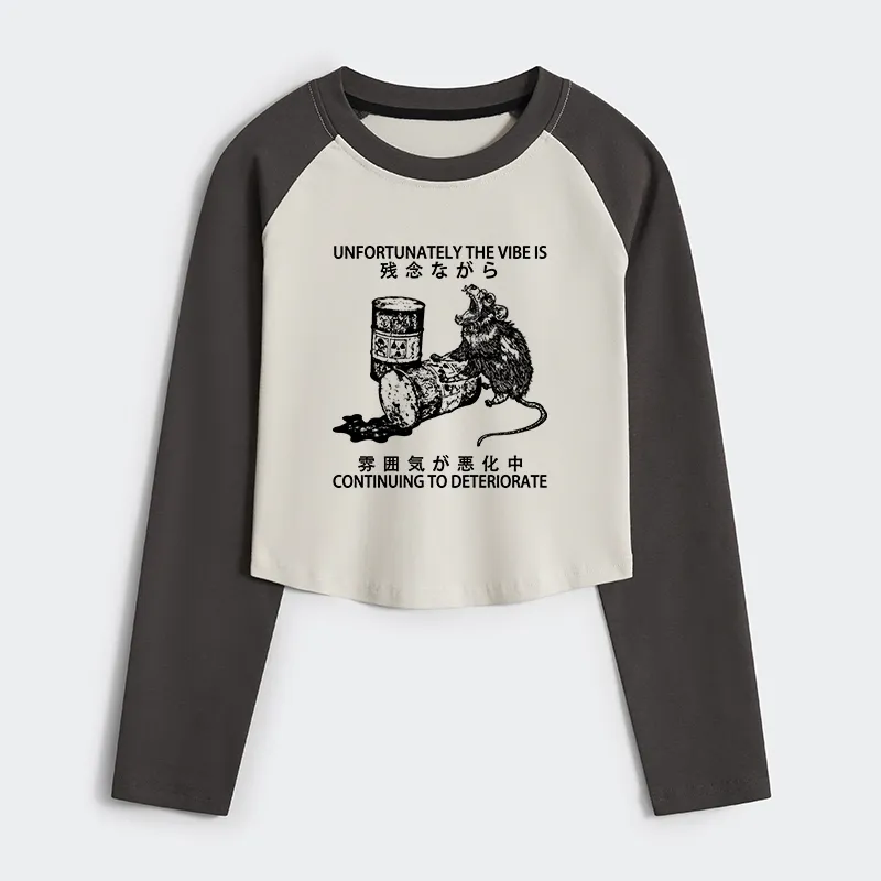 Tokyo-Tiger The Vibe Is Continuing To Deteriorate Women's Crop Raglan T-Shirt