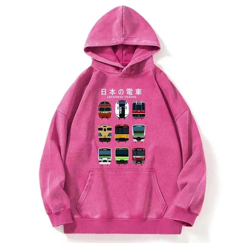 Tokyo-Tiger Japanese Train Collection Washed Hoodie