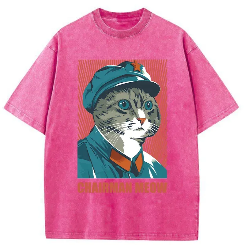 Tokyo-Tiger Cute Chairman Meow Washed T-Shirt