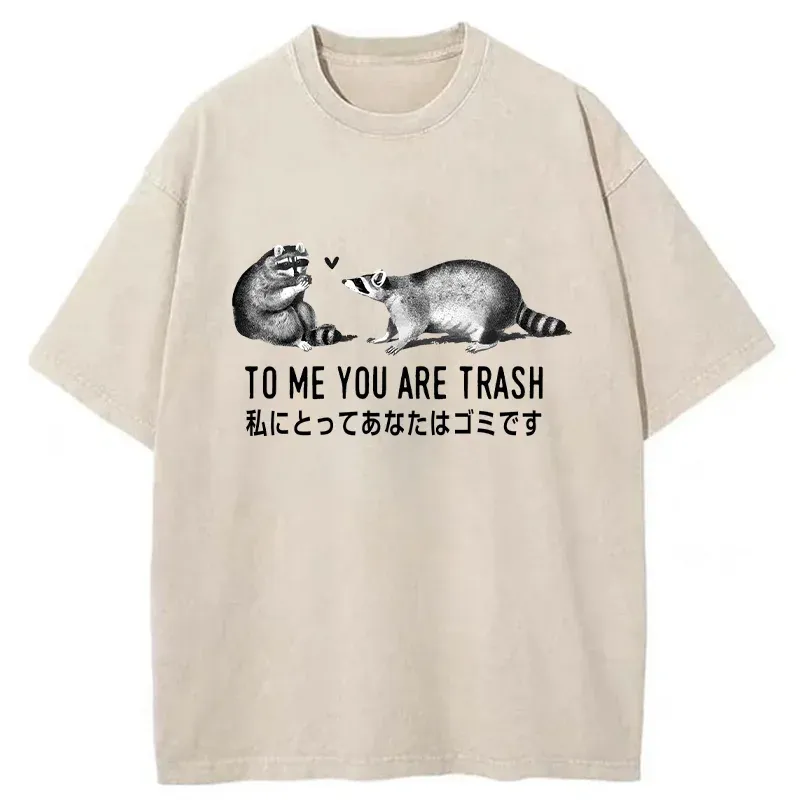 Tokyo-Tiger Raccoon Courting Washed T-Shirt