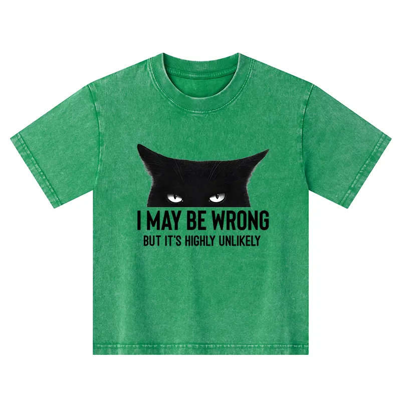 Tokyo-Tiger Cat Can Do No Wrong Kids Washed T-Shirt