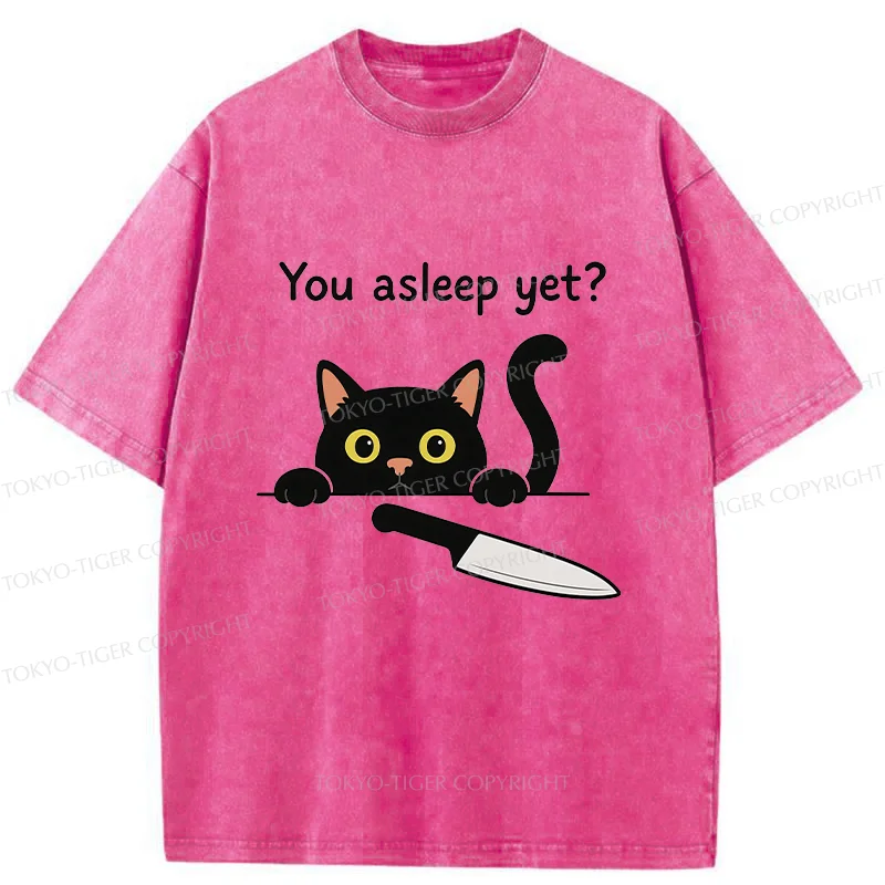 Tokyo-Tiger Cat With Murderous Intent Washed T-Shirt