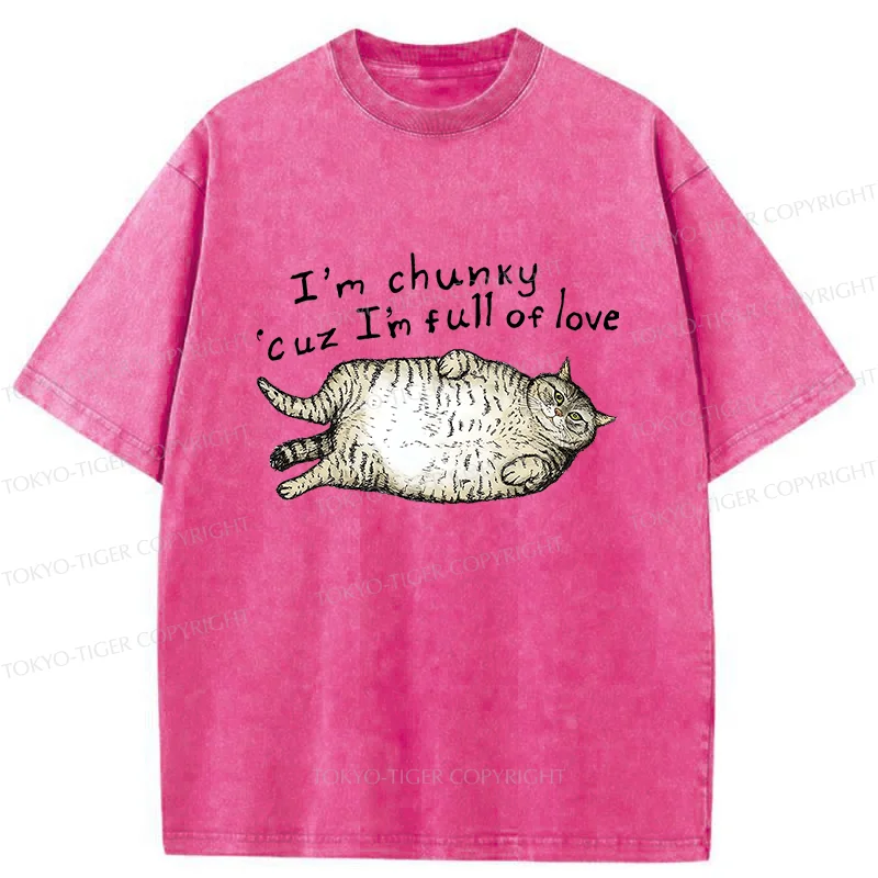 Tokyo-Tiger Fat Cat Funny Washed T-Shirt