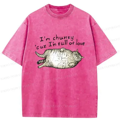 Tokyo-Tiger Fat Cat Funny Washed T-Shirt