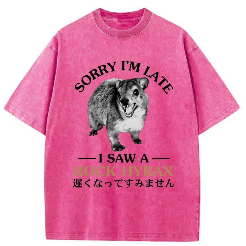 Tokyo-Tiger Rock Hyrax Japanese Washed T-Shirt