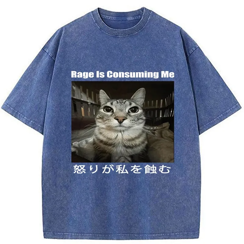 Tokyo-Tiger Rage Is Consuming Me Japan Washed T-Shirt