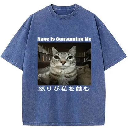 Tokyo-Tiger Rage Is Consuming Me Japan Washed T-Shirt