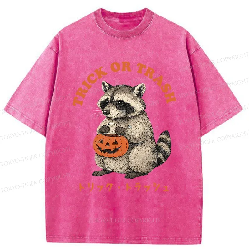 Tokyo-Tiger Halloween Raccoon Washed T-Shirt Sale