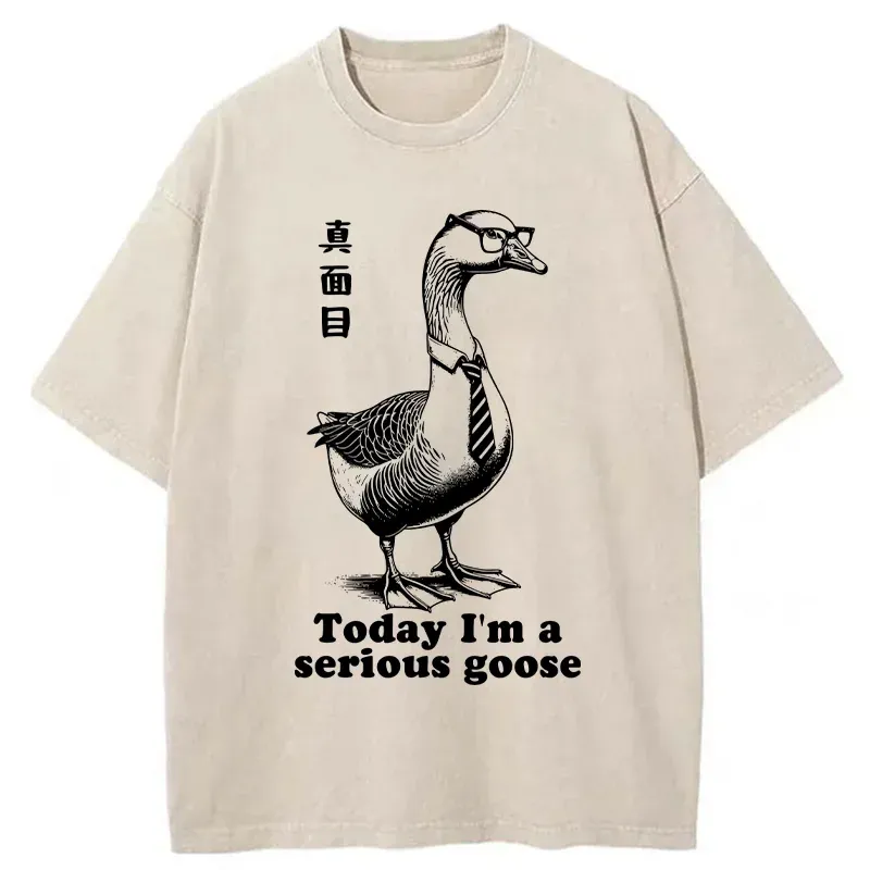 Tokyo-Tiger Serious Goose Washed T-Shirt