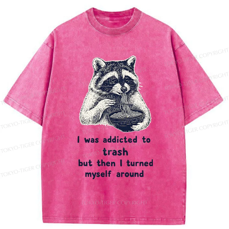 Tokyo-Tiger Raccoon Eating Ramen Japanese Washed T-Shirt