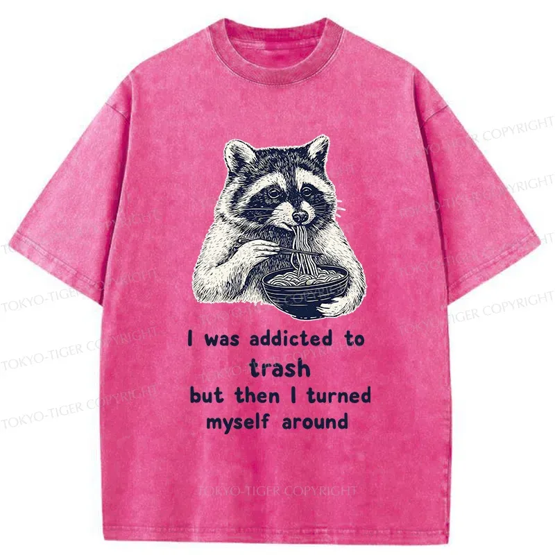 Tokyo-Tiger Raccoon Eating Ramen Japanese Washed T-Shirt