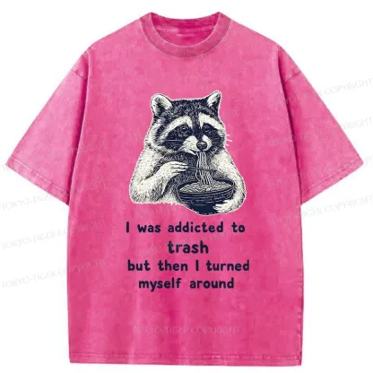 Tokyo-Tiger Raccoon Eating Ramen Japanese Washed T-Shirt