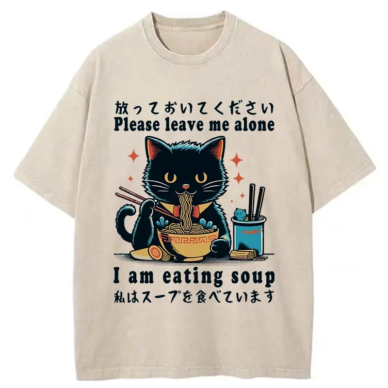 Tokyo-Tiger Cat Enchanted By Ramen Washed T-Shirt