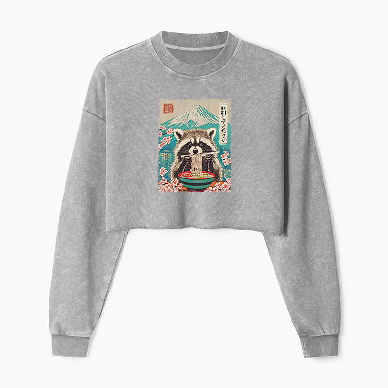 Tokyo-Tiger Please Give Raccoon A Discount Washed Crop Sweatshirt