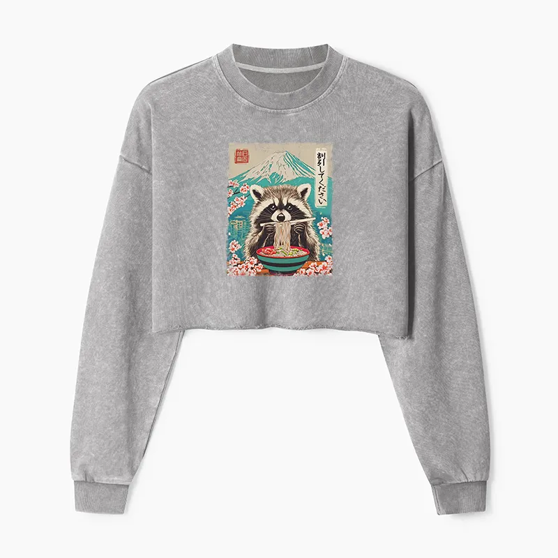 Tokyo-Tiger Please Give Raccoon A Discount Washed Crop Sweatshirt