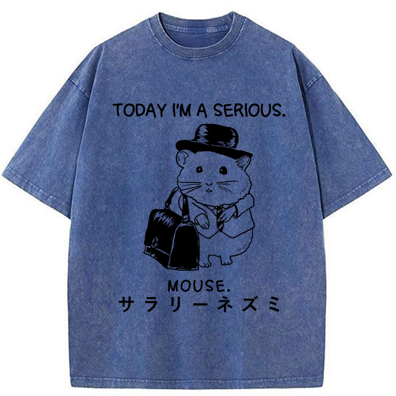 Tokyo-Tiger Today I'm A Serious Washed T-Shirt