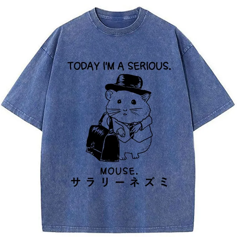 Tokyo-Tiger Today I'm A Serious Washed T-Shirt