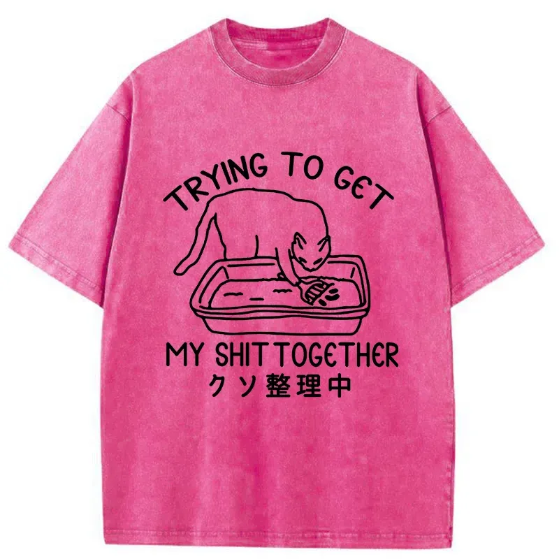 Tokyo-Tiger Cat Cleaning The Toilet Washed T-Shirt