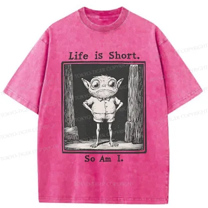 Tokyo-Tiger Short Life Of A Goblin Washed T-Shirt