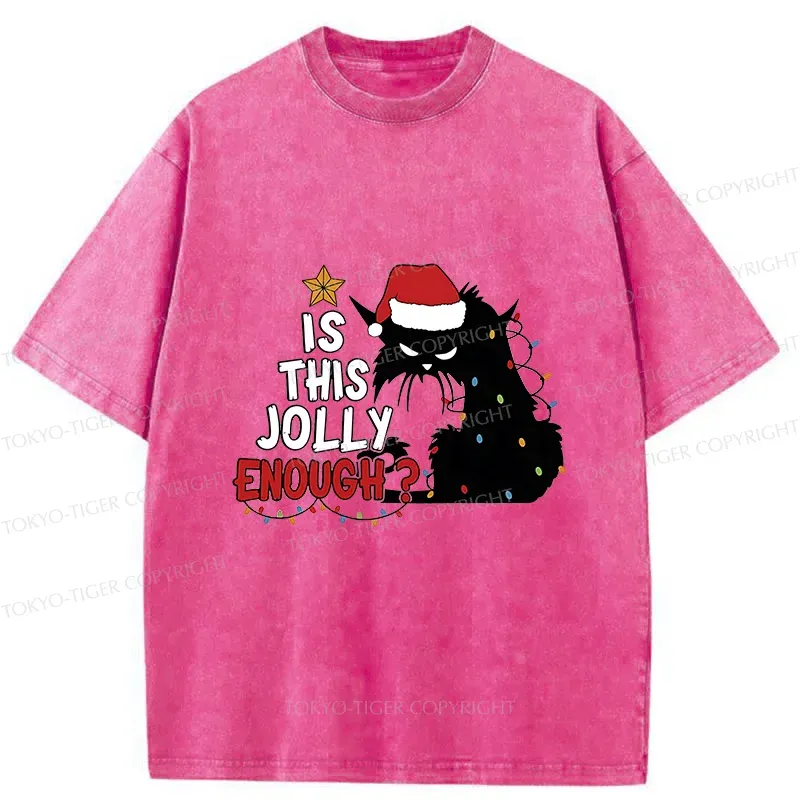 Tokyo-Tiger Grumpy Cat Christmas Washed T-Shirt