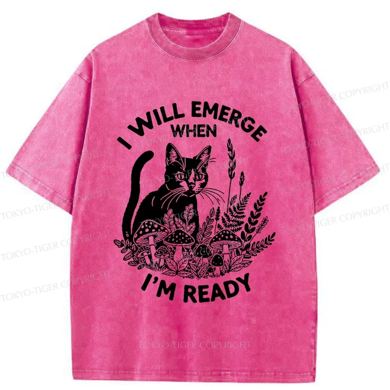 Tokyo-Tiger Cat Ready To Appear Washed T-Shirt