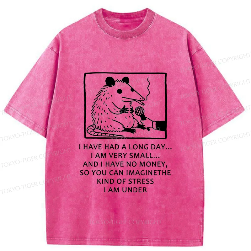 Tokyo-Tiger Contemporary Possum Interview Washed T-Shirt