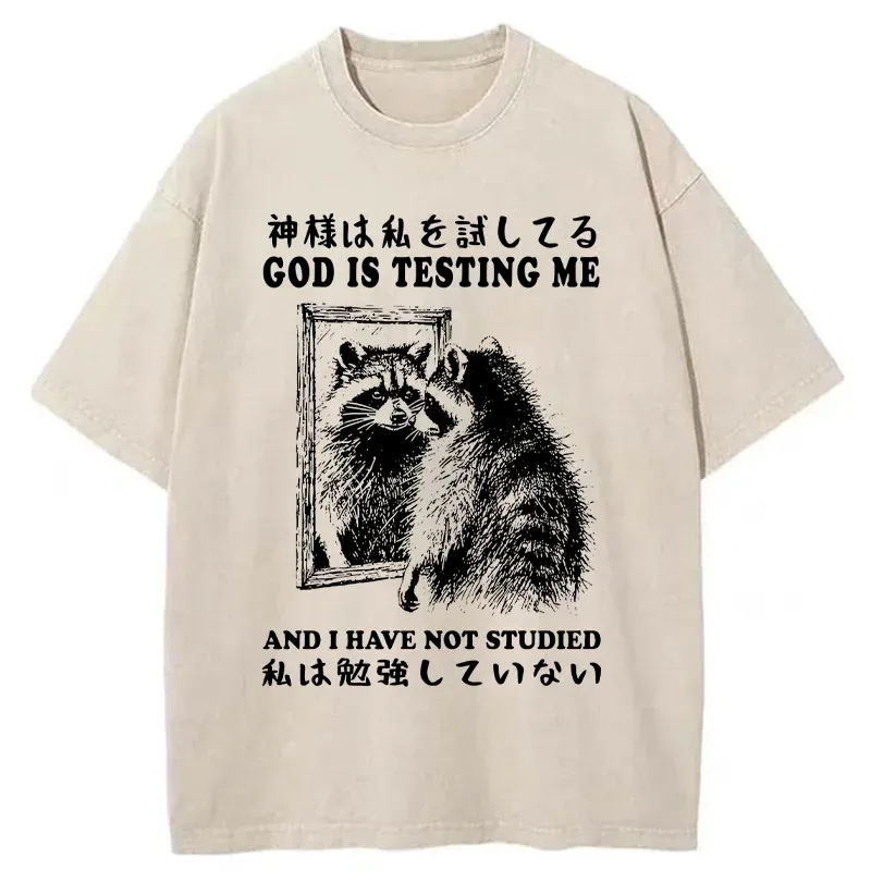 Tokyo-Tiger Raccoon Not Studied Washed T-Shirt