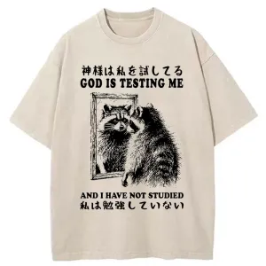 Image of Tokyo-Tiger Raccoon Not Studied Washed T-Shirt