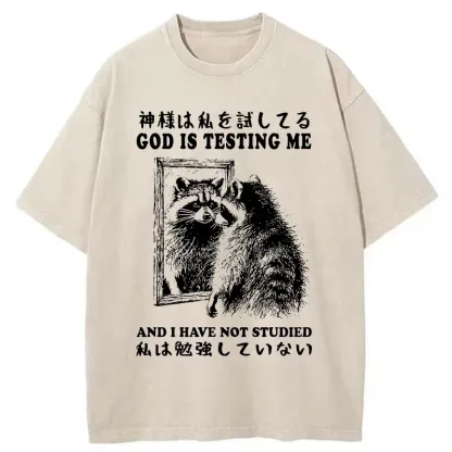 Tokyo-Tiger Raccoon Not Studied Washed T-Shirt