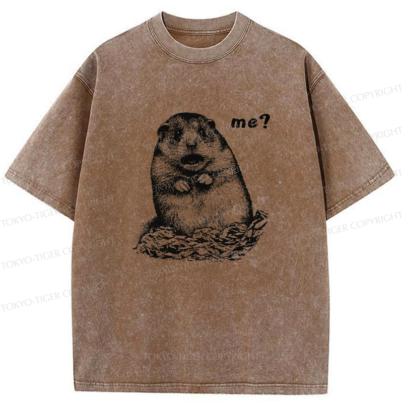 Tokyo-Tiger Why You Choose Me Washed T-Shirt