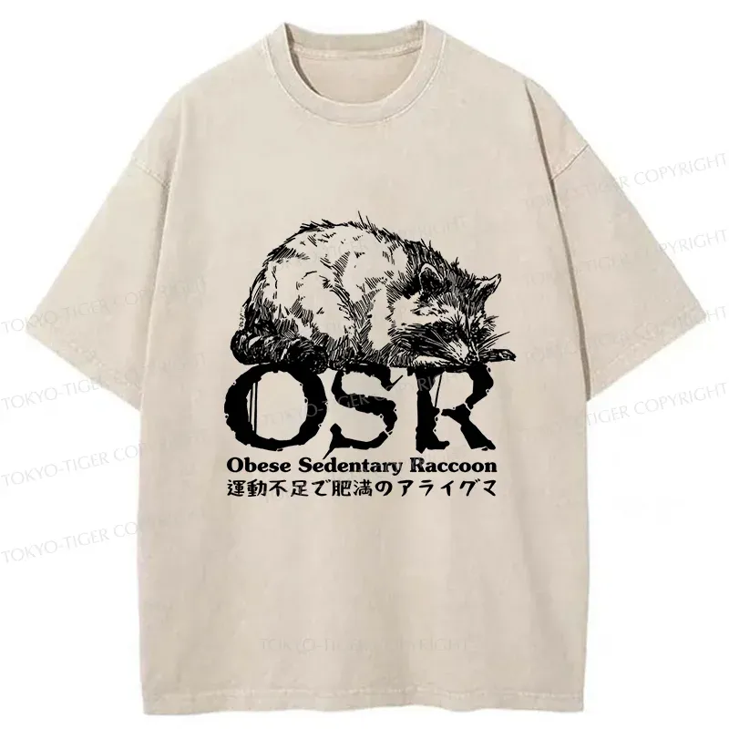 Tokyo-Tiger Fat Raccoon Washed T-Shirt