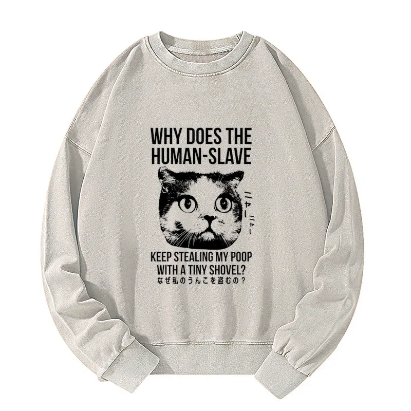 Tokyo-Tiger Cat Thinking About human Washed Sweatshirt Sale