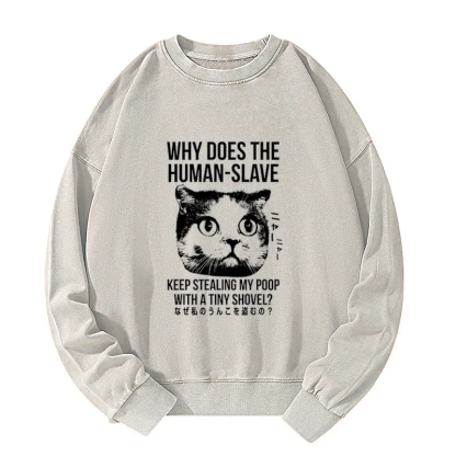 Tokyo-Tiger Cat Thinking About human Washed Sweatshirt